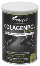 Complex Collagen 300 gr