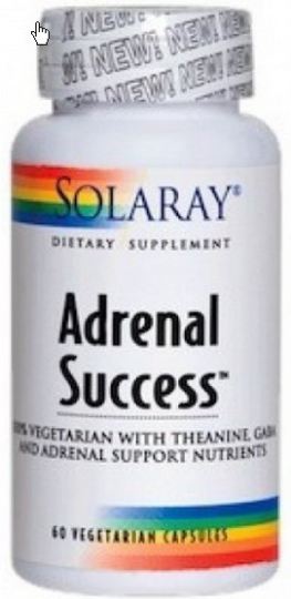 Adrenal Success 60 Capsules