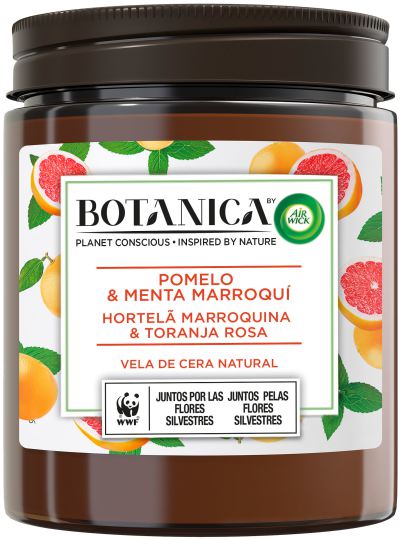 Aromatic candle of natural wax Grapefruit and Moroccan Mint 205 gr